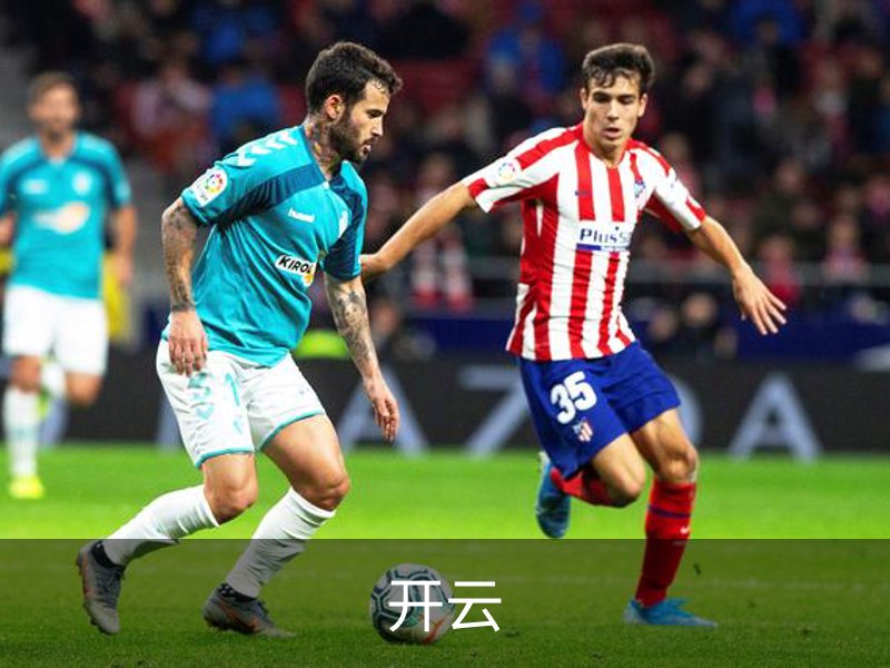 开云简介